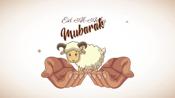 Eid mubarak celebration lettering with hands lifting goat — Stock Video