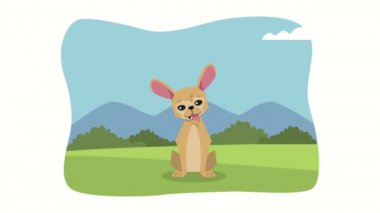 Kamp animasyonunda köpek maskotu