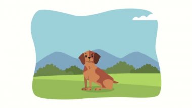 Kamp animasyonundaki sevimli köpek maskotu.