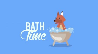 Küvette köpekle banyo zamanı.