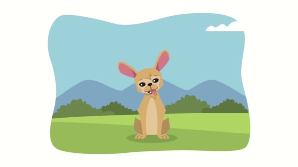 Hundemaskottchen in der Camp-Animation — Stockvideo