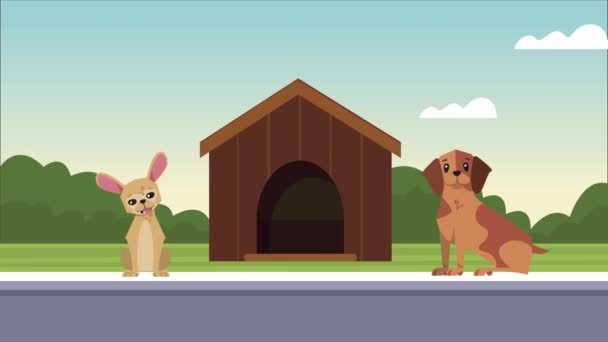Carino due cani mascotte nella scena della casa — Video Stock