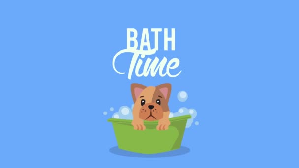 Badezeit-Schriftzug mit süßem Hund in Badewanne — Stockvideo