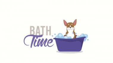 Küvet animasyonunda küçük bir köpekle banyo zamanı.