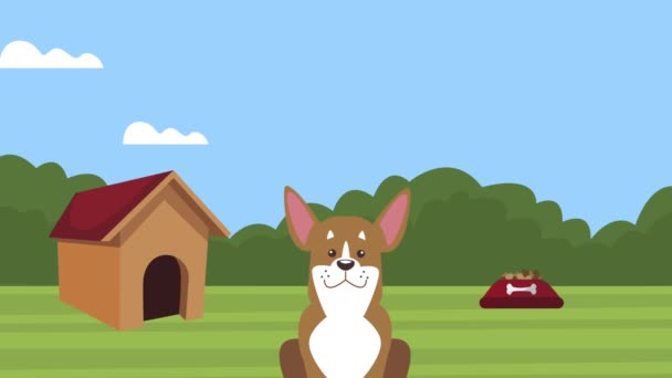 可爱的狗吉祥物与房子和食物的场景 — 图库视频影像