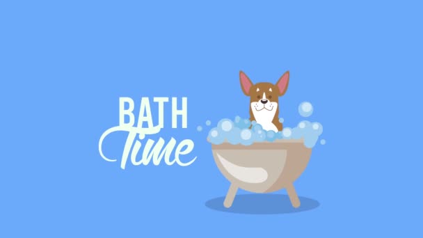 Lettering tempo banho com cão bonito em animação banheira — Vídeo de Stock