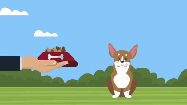 Schattig hond mascotte met voedsel in het park animatie — Stockvideo