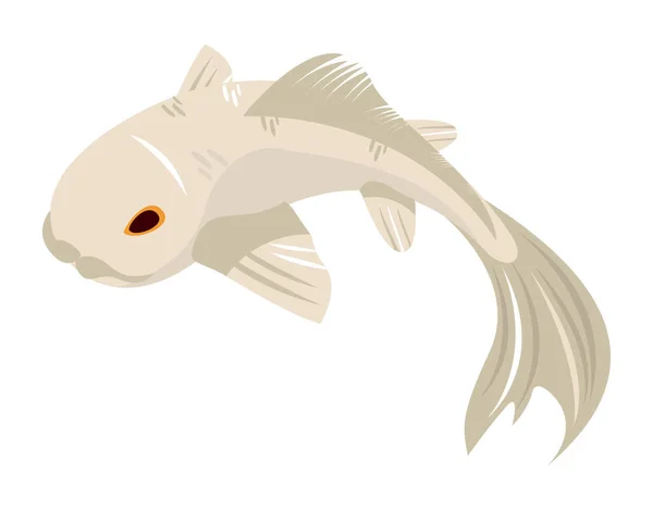 Poisson blanc koï — Image vectorielle