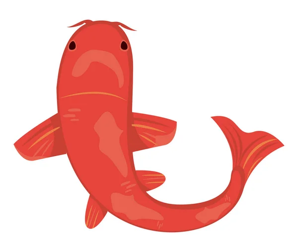 Ikan koi merah - Stok Vektor