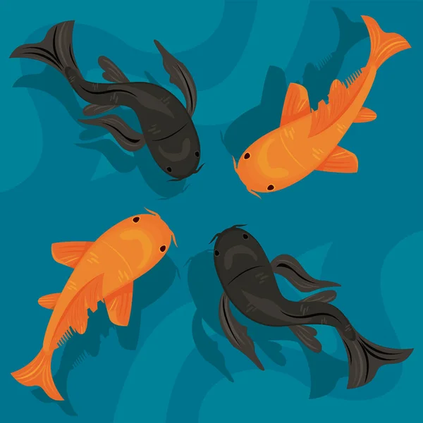 Koi quatro peixes — Vetor de Stock