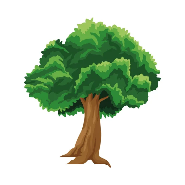 Ikona rostliny stromu — Stockový vektor