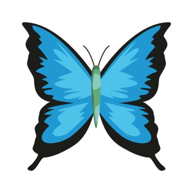 Şirin kelebek böceği