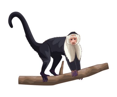 Cute and realistic monkey