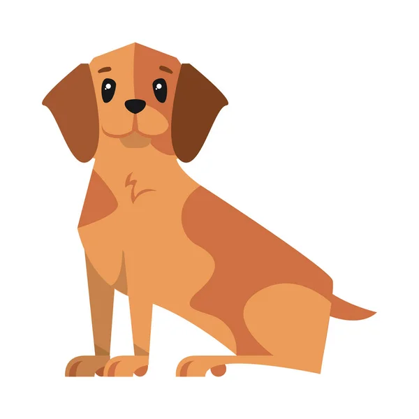 Mascota del perro icono — Vector de stock