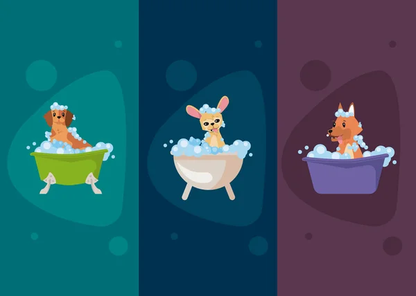 Dogs cartoons bathing icon set — Vector de stock