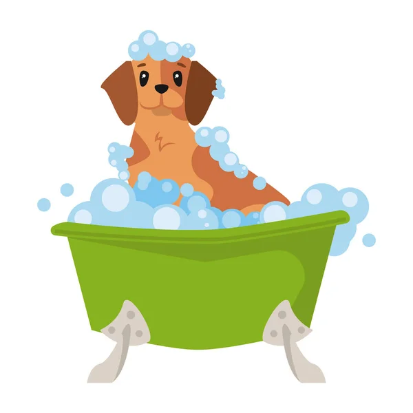 Dog bathing design — Stock Vector