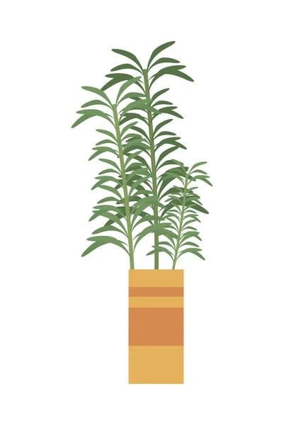 Plant inside orange pot — Archivo Imágenes Vectoriales