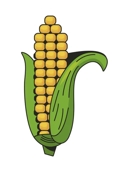 Isolated corn icon — Stock Vector