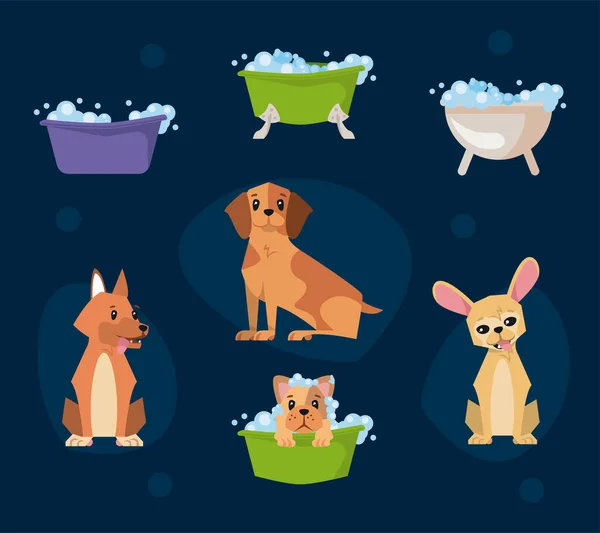 Dogs cartoons bathing collection — Vector de stock