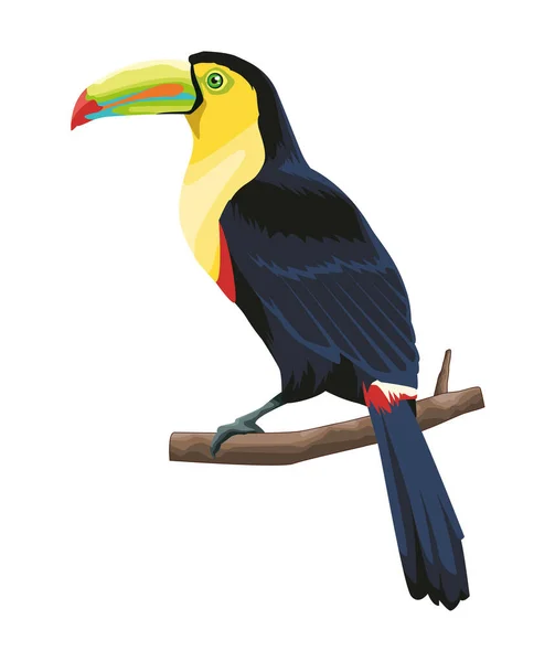 Εικονίδιο πουλιού toucan — Διανυσματικό Αρχείο