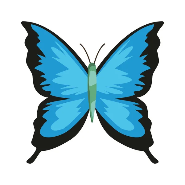 Insecte papillon mignon — Image vectorielle