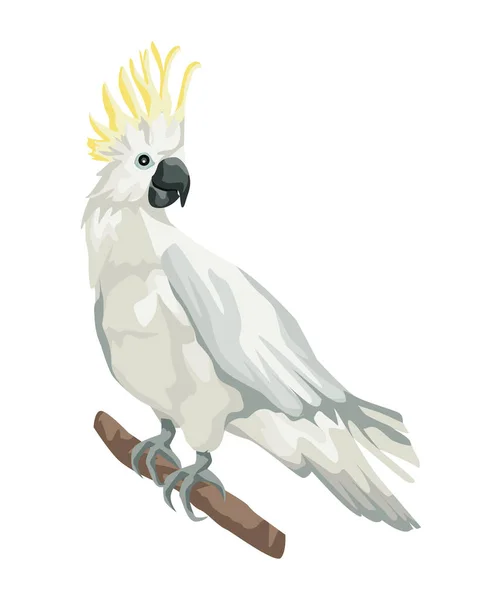 Uccello cacatua bianco — Vettoriale Stock