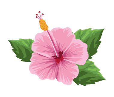 pembe egzotik çiçek