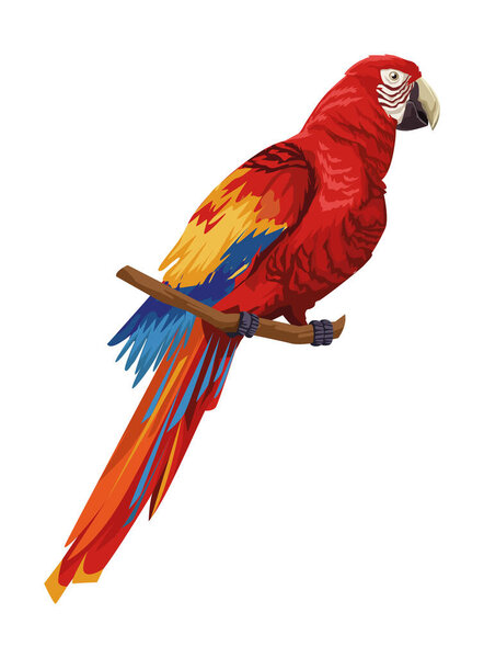 macaw bird icon