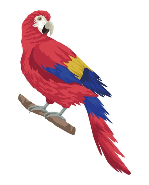 Papegoja exotisk fågel — Stock vektor