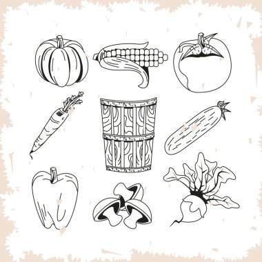 Healthy and organic vegetables icon collection
