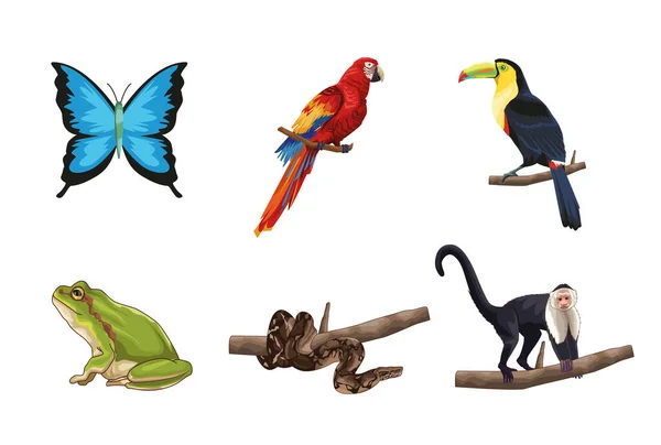 Cute and realistic jungle animals — Vector de stock