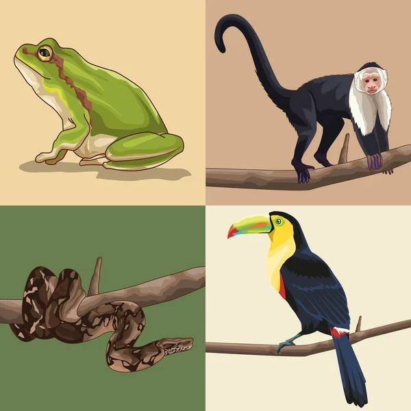 Realistic jungle animals — Stock Vector