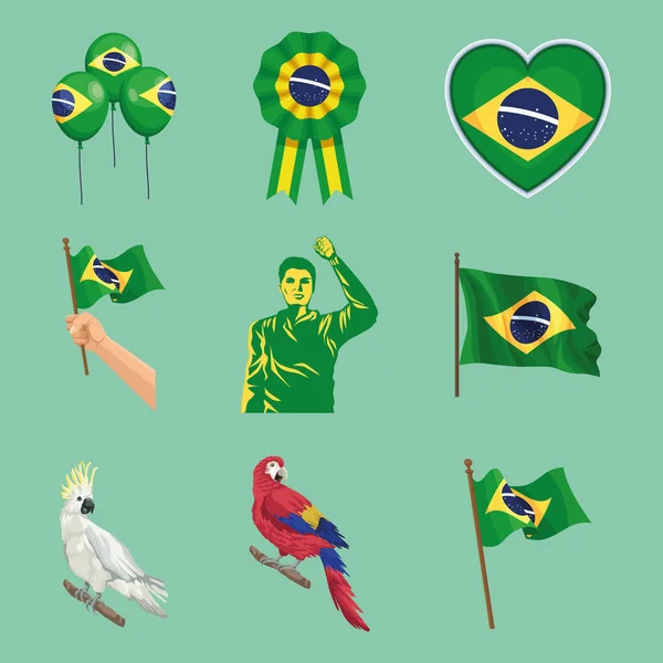 Neun brasilianische Unabhängigkeitssymbole — Stockvektor