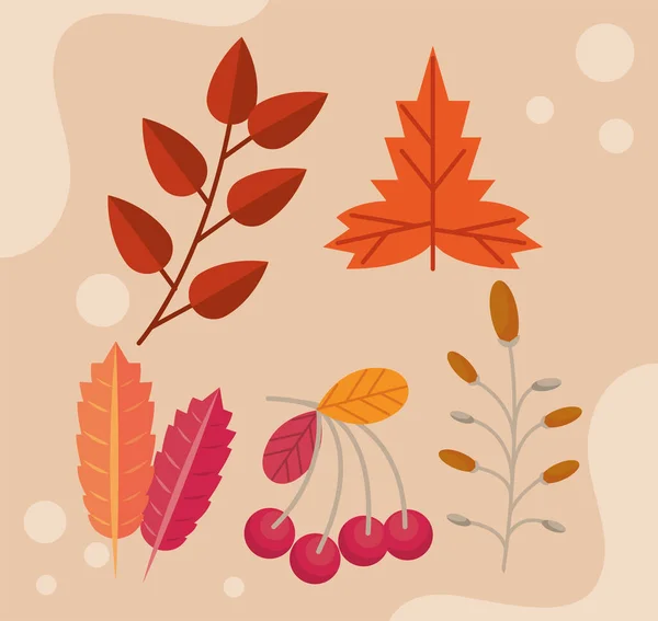 Autumn five leafs — Stock Vector