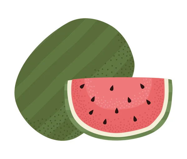 Vattenmelon färsk frukt — Stock vektor