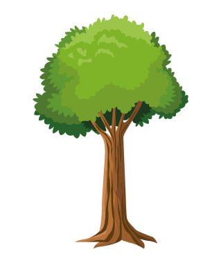 ağaç orman bitkisi