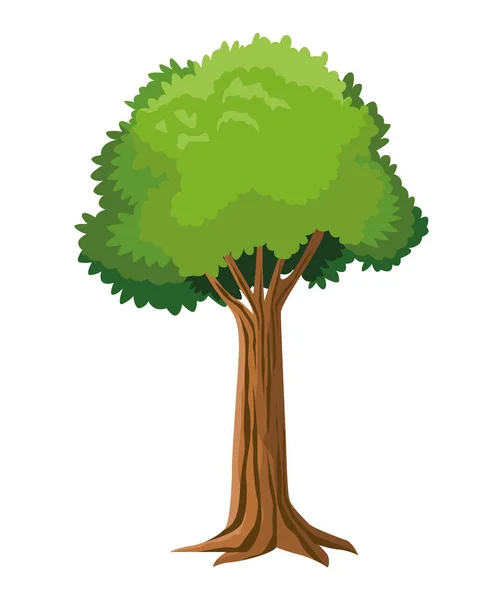 Strom les rostlina — Stockový vektor