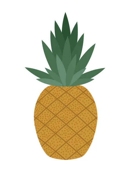 Piña fruta fresca — Vector de stock