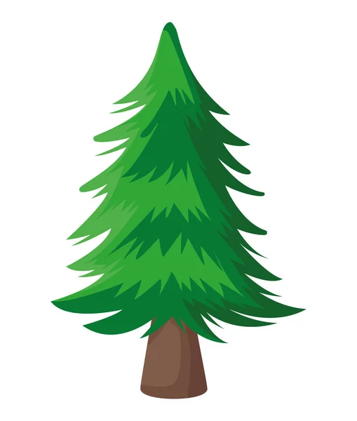 Pianta di pino — Vettoriale Stock