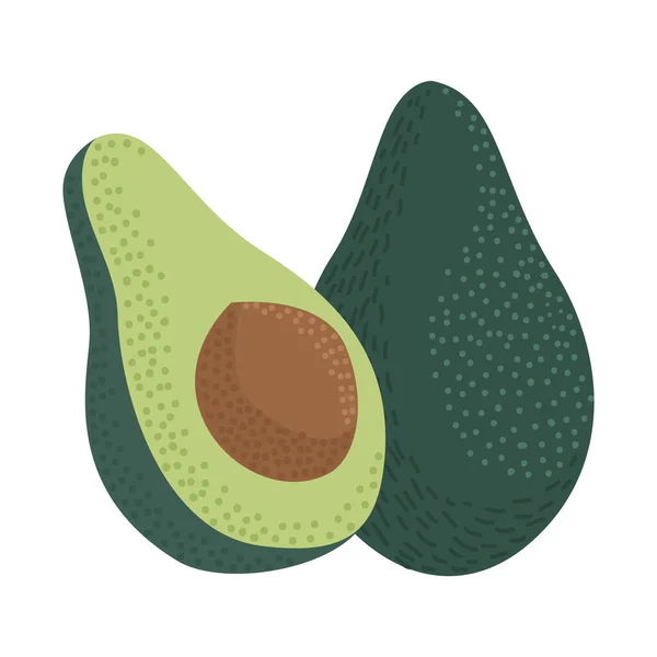 Свежие фрукты авокадо — стоковый вектор