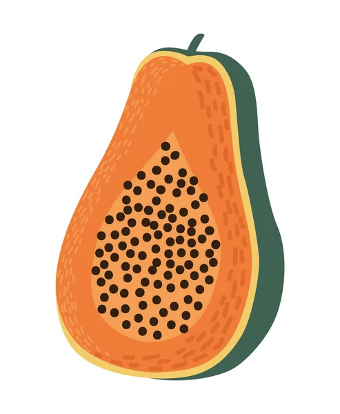 木瓜新鲜水果 — 图库矢量图片