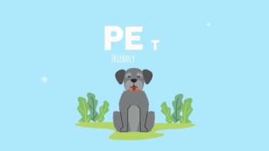 Otların arasında Schnauzer köpek maskotu