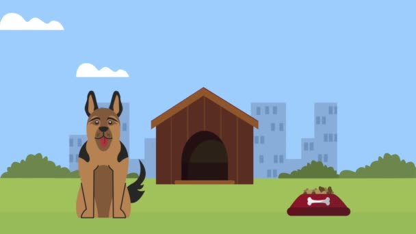 German shepherd mascot in wooden house — Stock Video