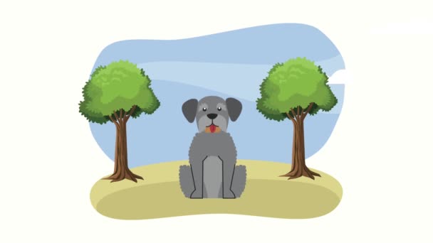 Schnauzer cane mascotte nella foresta — Video Stock