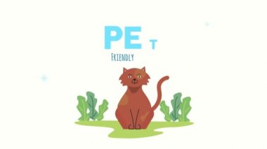 turuncu kedi maskotu ve çizgi film karakteri