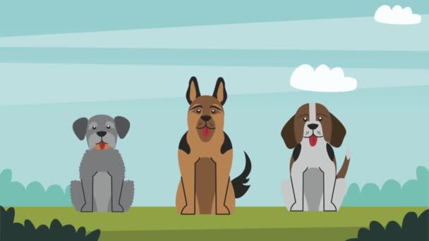 Три собаки-талисмана в полевой анимации — стоковое видео