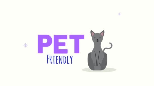 Mascote de gato cinza com animação lettering — Vídeo de Stock