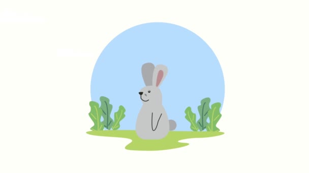 Cute rabbit in the camp animation — Stock Video