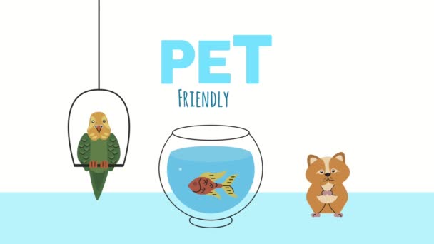 Parrot with fish and guinea pig pets animation — Stock Video