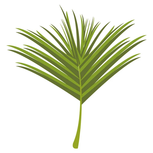 Exotisch tropisch blad — Stockvector